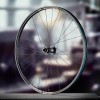 Roata Fata E*Thirteen Grappler Sidekick Flux Aluminiu Downhill 29" Prindere Disc in 6 Gauri Roata Fata E*Thirteen Grappler Sidekick Flux Aluminiu Downhill 29" Prindere Disc in 6 Gauri