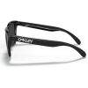 Ochelari De Soare Oakley Frogskins Polished Black / Prizm Black Lens Ochelari De Soare Oakley Frogskins Polished Black / Prizm Black Lens