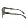 Ochelari De Soare Oakley Frogskins Range Matte Grey Smoke / Grey Ink / Prism Ruby Lens Ochelari De Soare Oakley Frogskins Range Matte Grey Smoke / Grey Ink / Prism Ruby Lens