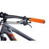 Bicicleta Pivot Firebird 29" Pro XT/XTR - Live Carbon Wheels Silver Sunrise 2023