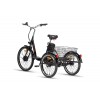 Tricicleta Electrica Ztech ZT-81 Trailer 2.0 Black Tricicleta Electrica Ztech ZT-81 Trailer 2.0 Black