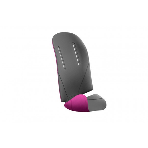 Thule RideAlong - Paddings Purple/Dark Grey - Husa pentru Thule RideAlong mov/gri inchis Thule RideAlong - Paddings Purple/Dark Grey - Husa pentru Thule RideAlong mov/gri inchis
