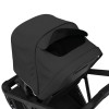 Carucior Thule Shine Black Carucior Thule Shine Black