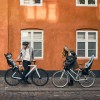 Scaun pentru copii, cu montare pe bicicleta in fata - Thule Yepp 2 Mini Front mounted, Alaska Scaun pentru copii, cu montare pe bicicleta in fata - Thule Yepp 2 Mini Front mounted, Alaska