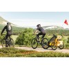 Carucior multisport Thule Chariot Sport 2 Spectra Yellow